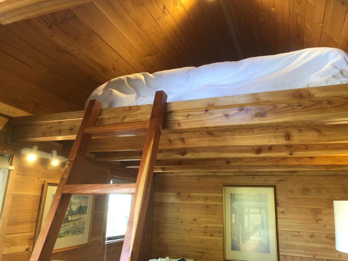 Studio Or Cabin On Whitby Нелсън Екстериор снимка